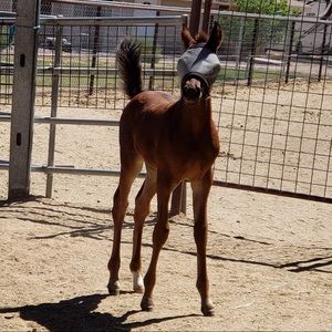 Meet your Posher, Address